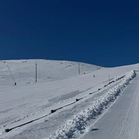 1202 דירה לוי